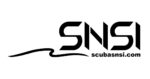 SNSI Logo 1200x630