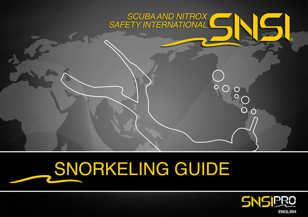 SNKG Cover